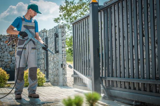 Best Roof Washing  in Royse City, TX