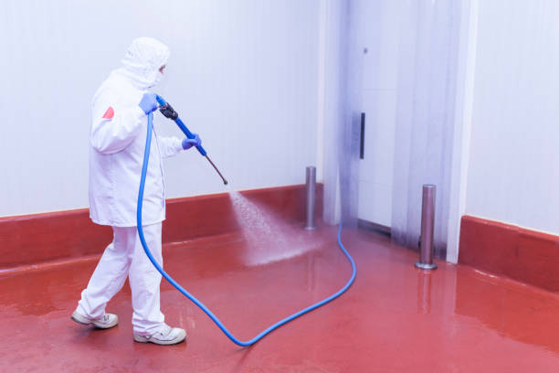 Best Machinery and Equipment Cleaning  in Royse City, TX