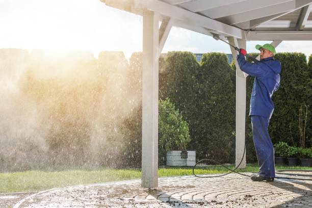 Best Spring Cleaning  in Royse City, TX